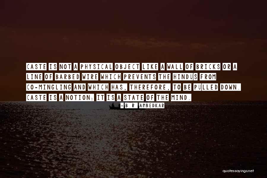 Bricks Wall Quotes By B.R. Ambedkar Bricks Wall Quotes By B.R. Ambedkar