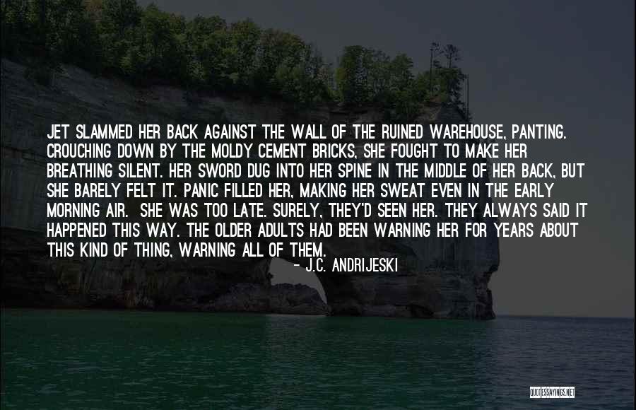 Bricks Wall Quotes By J.C. Andrijeski Bricks Wall Quotes By J.C. Andrijeski