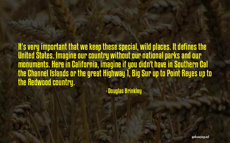 Brickwall Quotes By Douglas Brinkley Brickwall Quotes By Douglas Brinkley