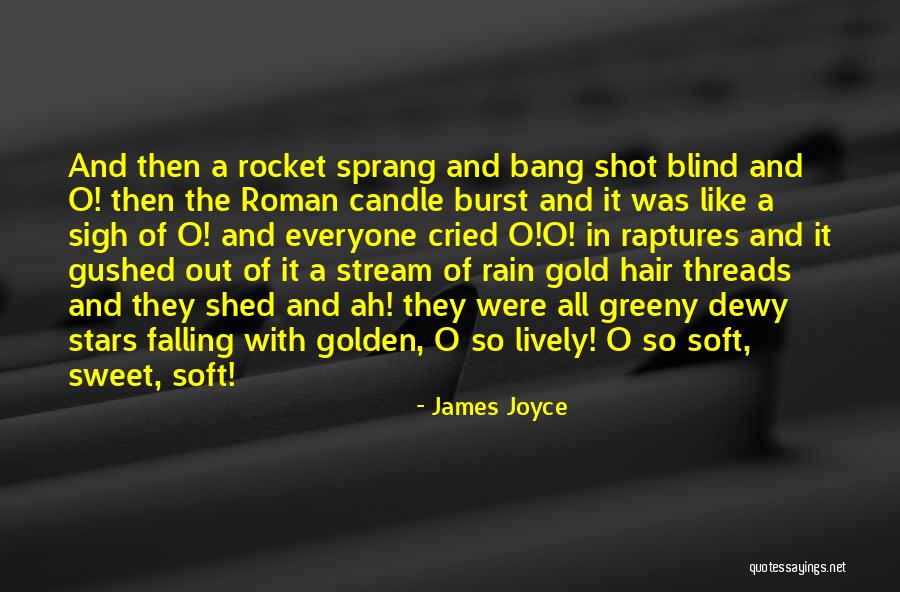 Bricoler Carte Quotes By James Joyce Bricoler Carte Quotes By James Joyce