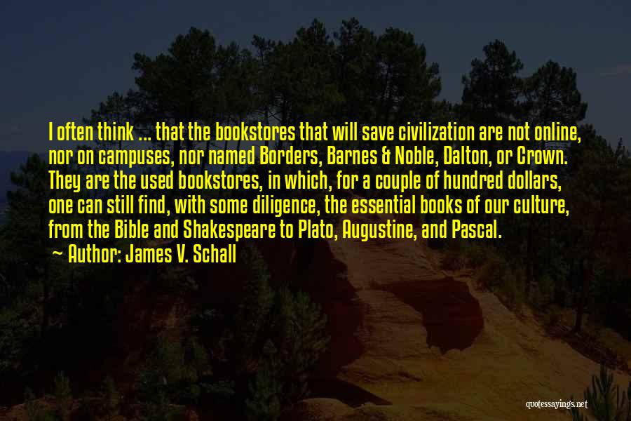 Bricoutil Quotes By James V. Schall