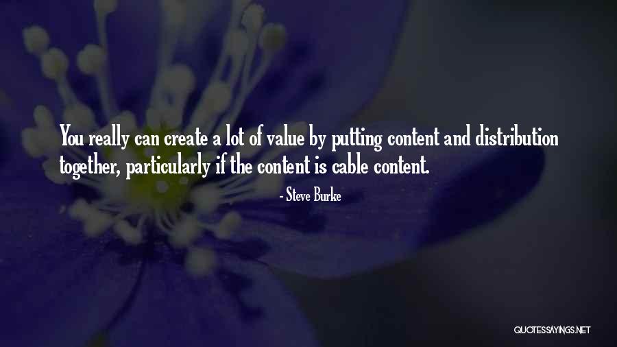 Brid Quotes By Steve Burke Brid Quotes By Steve Burke