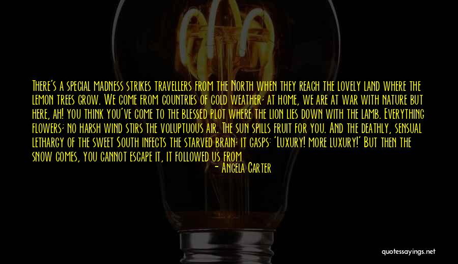 Bride And Father Quotes By Angela Carter