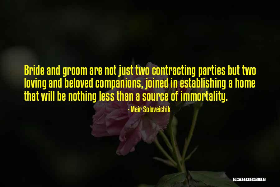 Bride And Groom Quotes By Meir Soloveichik Bride And Groom Quotes By Meir Soloveichik
