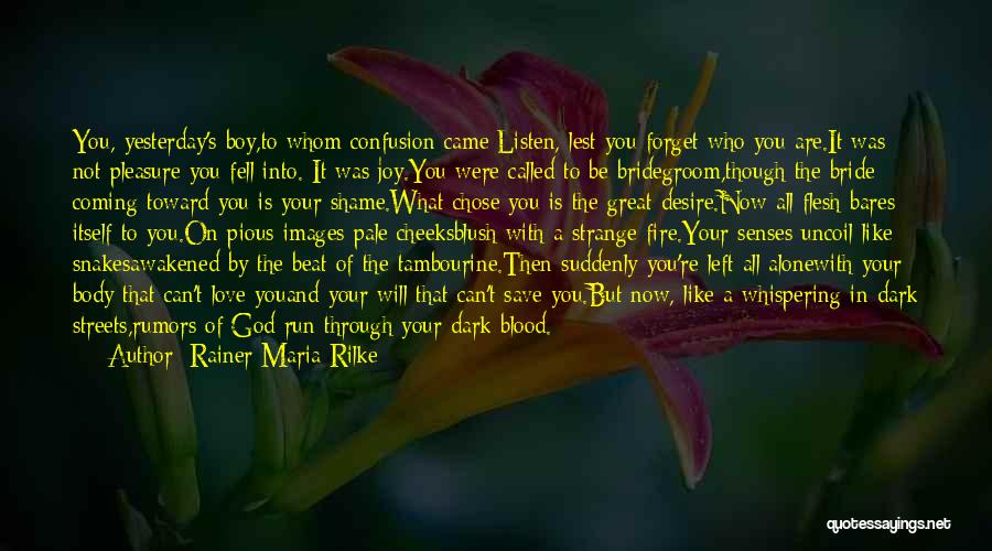 Bridegroom Quotes By Rainer Maria Rilke