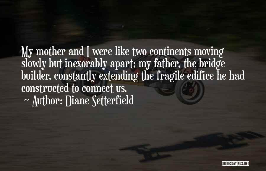 Bridge Builder Quotes By Diane Setterfield