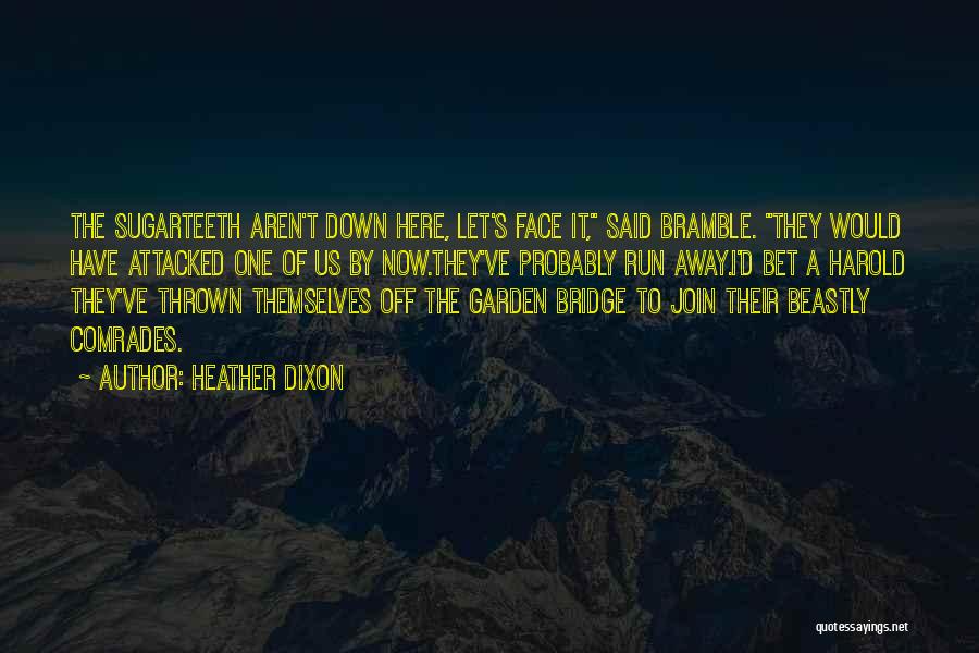 Bridge To Nowhere Quotes By Heather Dixon