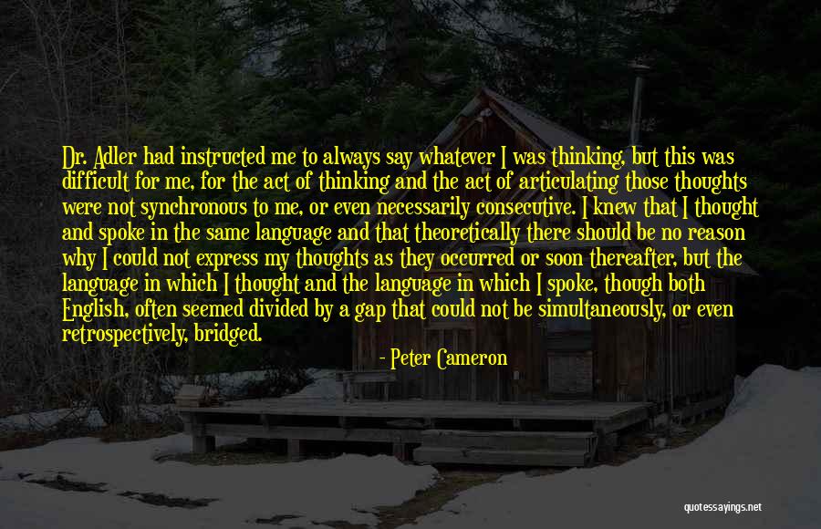 Bridged Quotes By Peter Cameron Bridged Quotes By Peter Cameron