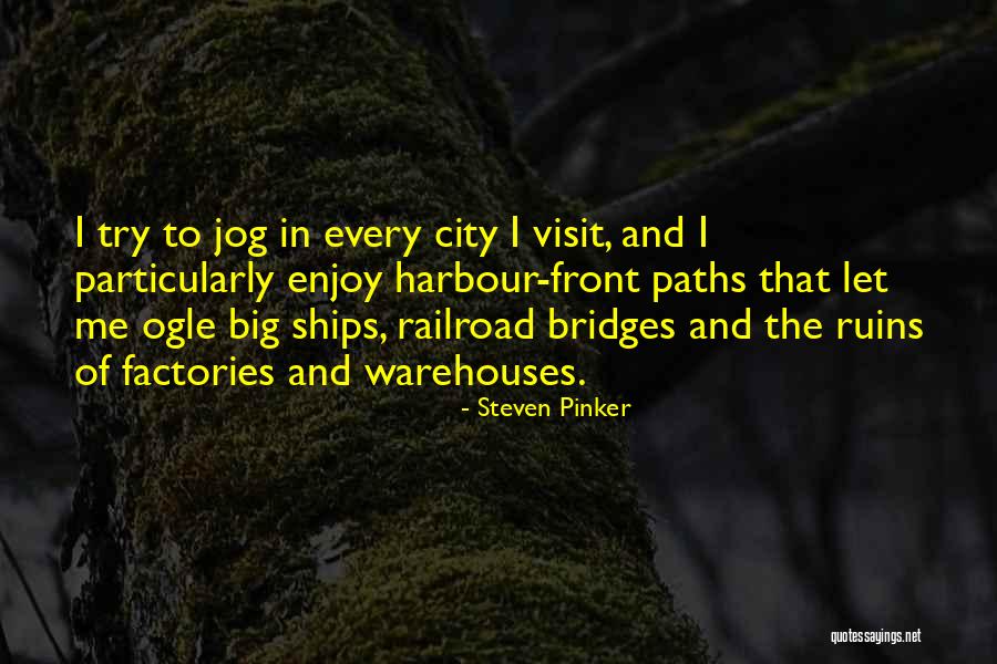 Bridges And Paths Quotes By Steven Pinker Bridges And Paths Quotes By Steven Pinker