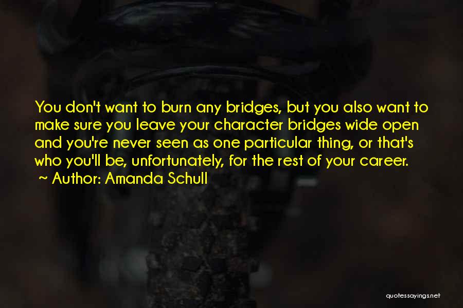 Bridges Burn Quotes By Amanda Schull