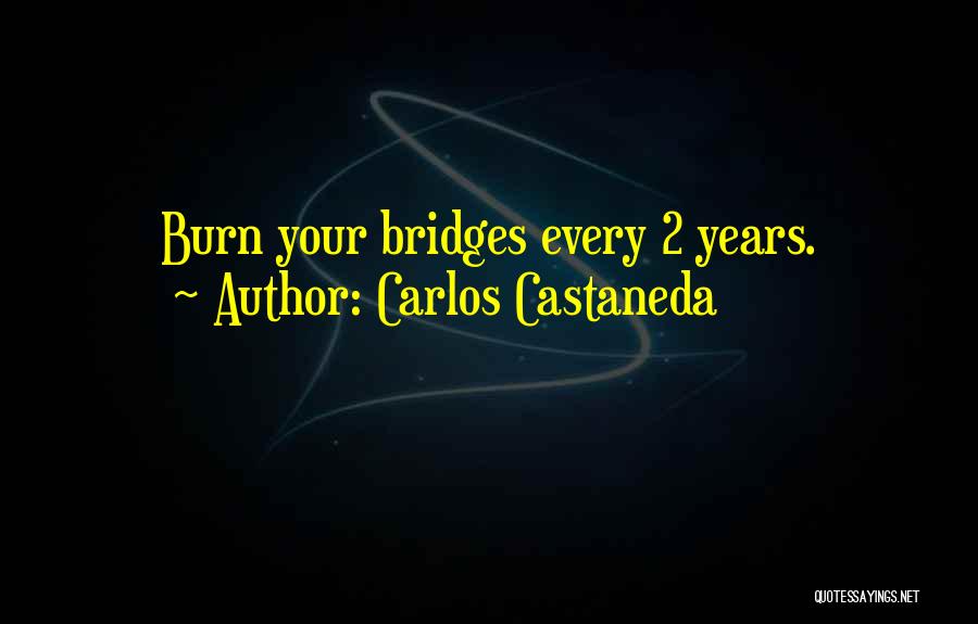 Bridges Burn Quotes By Carlos Castaneda