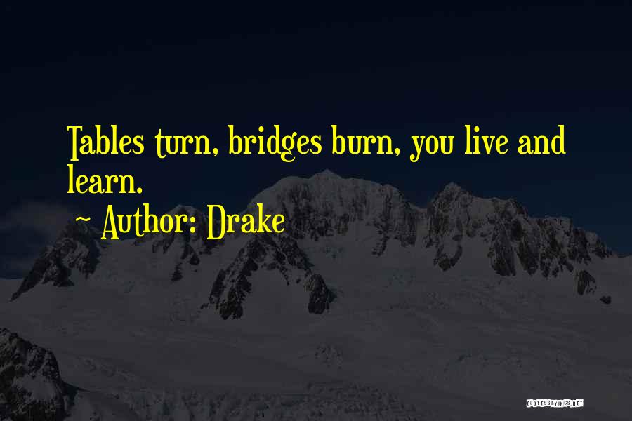 Bridges Burn Quotes By Drake