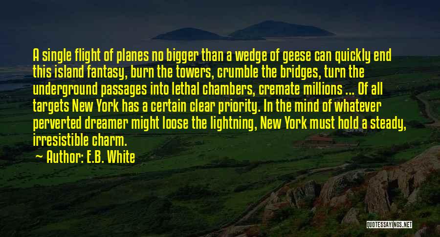 Bridges Burn Quotes By E.B. White