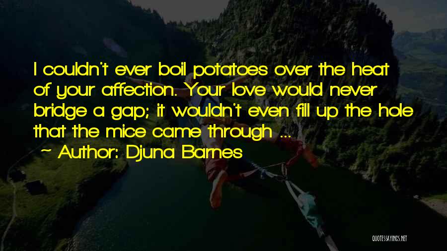 Bridges Of Love Quotes By Djuna Barnes