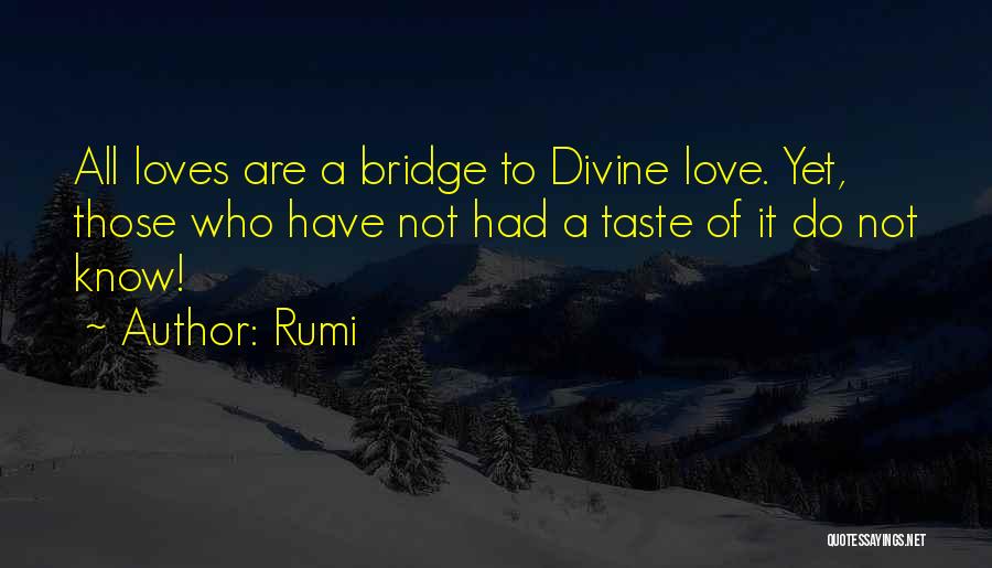 Bridges Of Love Quotes By Rumi