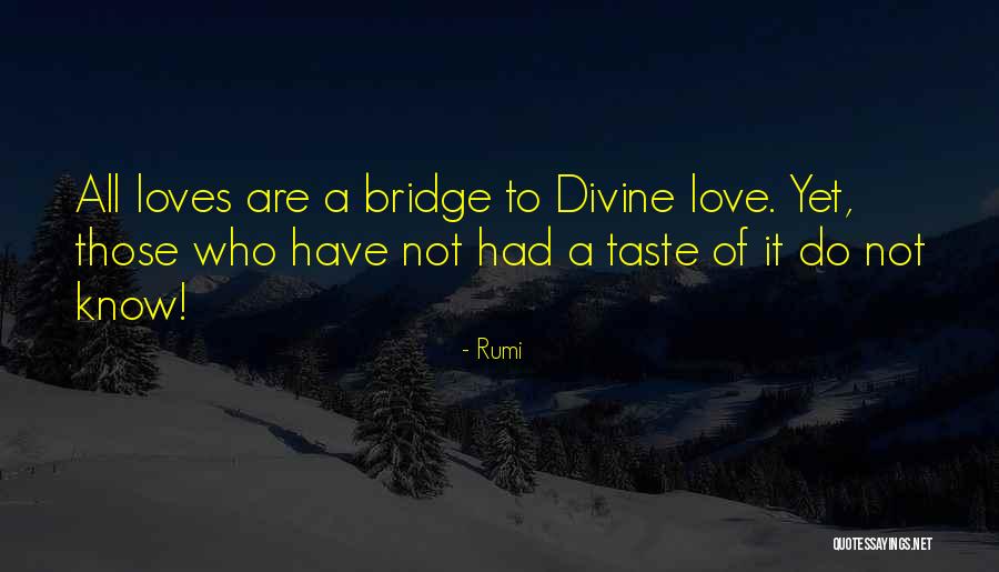 Bridges Of Love Quotes By Rumi