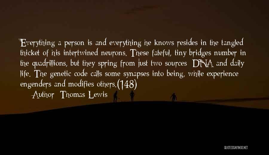 Bridges Of Love Quotes By Thomas Lewis