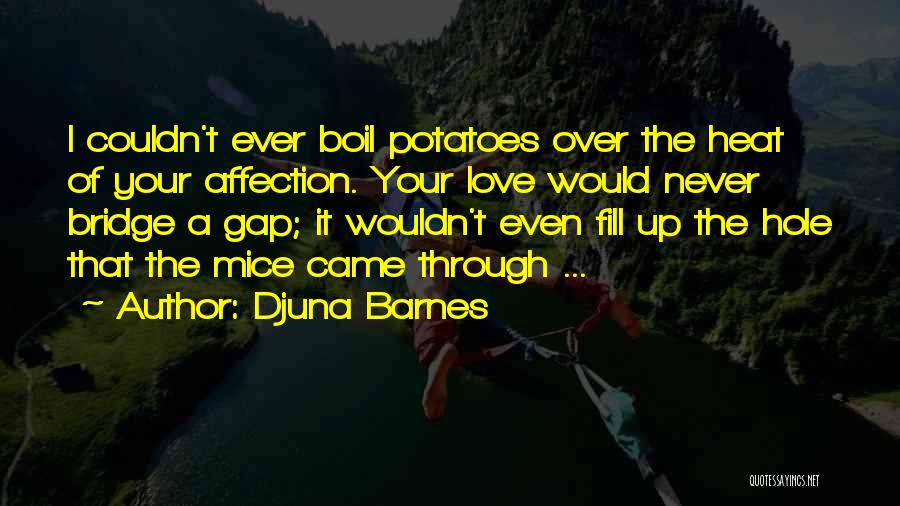 Bridges Quotes By Djuna Barnes