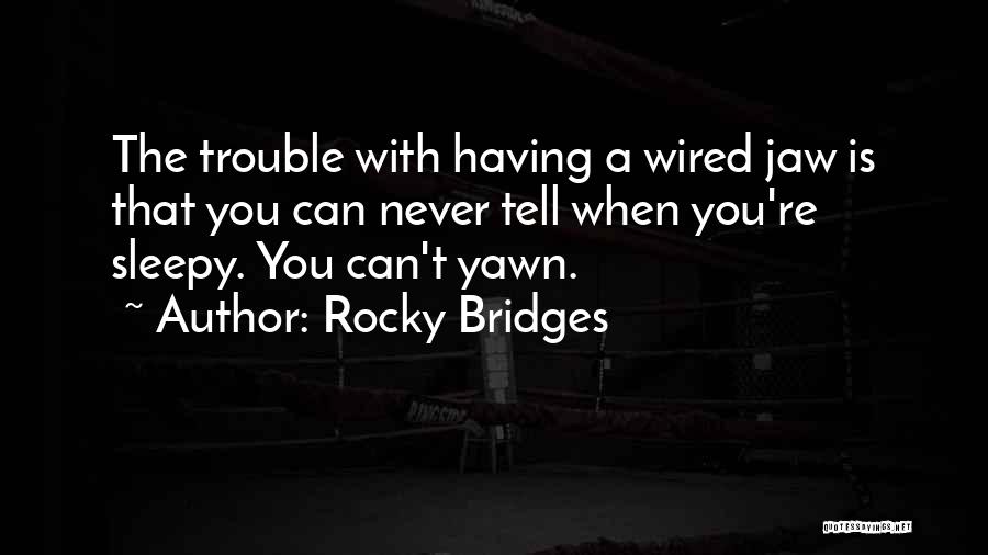Bridges Quotes By Rocky Bridges