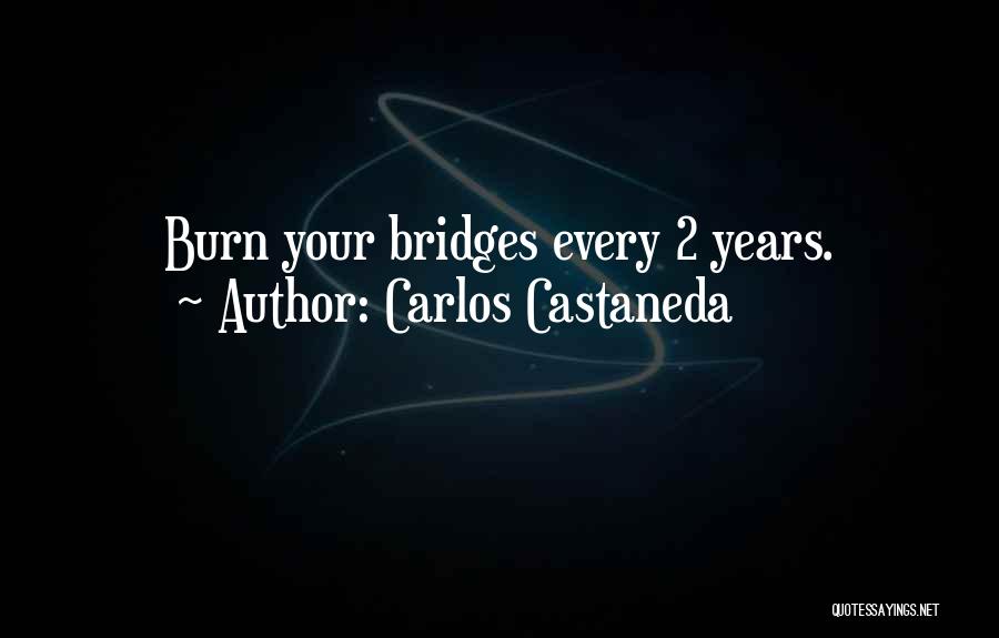 Bridges You Burn Quotes By Carlos Castaneda