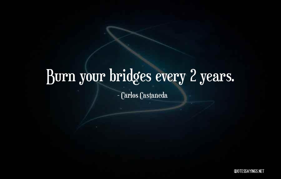 Bridges You Burn Quotes By Carlos Castaneda