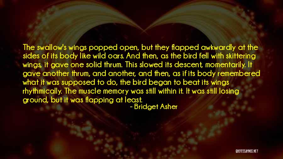 Bridget Asher Quotes 1789916