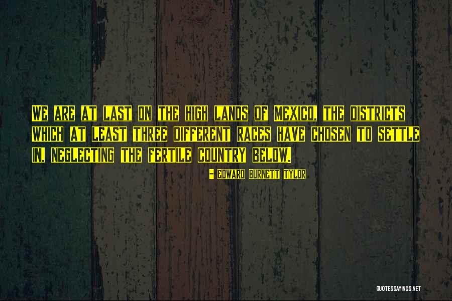 Bridget Jones Edge Of Reason Book Quotes By Edward Burnett Tylor Bridget Jones Edge Of Reason Book Quotes By Edward Burnett Tylor