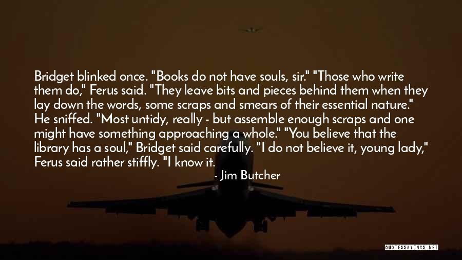 Bridget Quotes By Jim Butcher