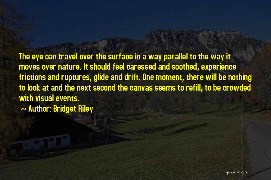 Bridget Riley Quotes 307123