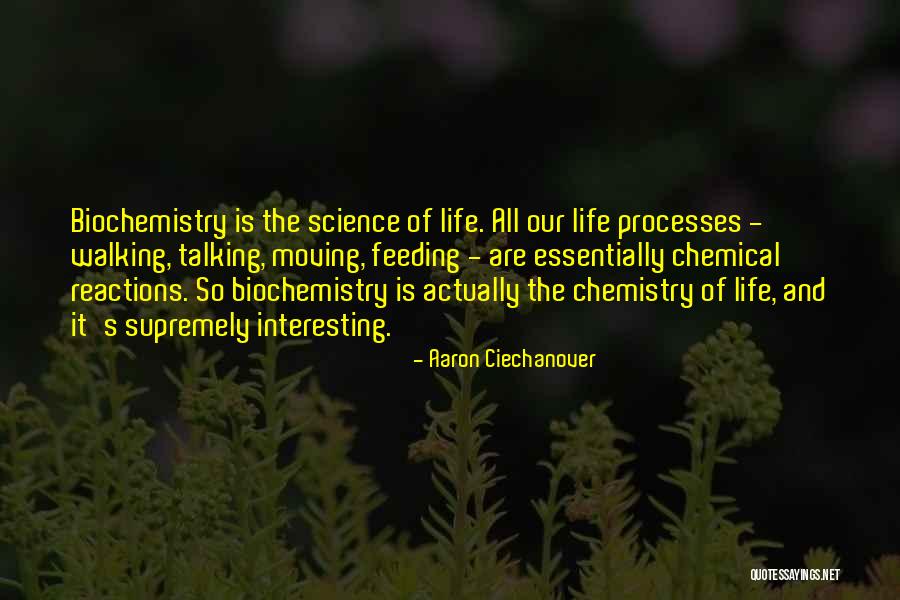 Bridgetta Quotes By Aaron Ciechanover Bridgetta Quotes By Aaron Ciechanover