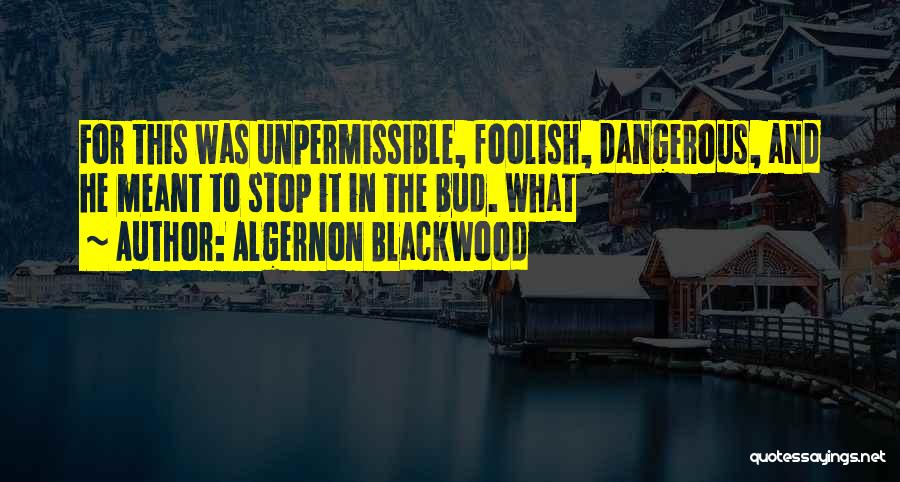 Bridies Path Quotes By Algernon Blackwood