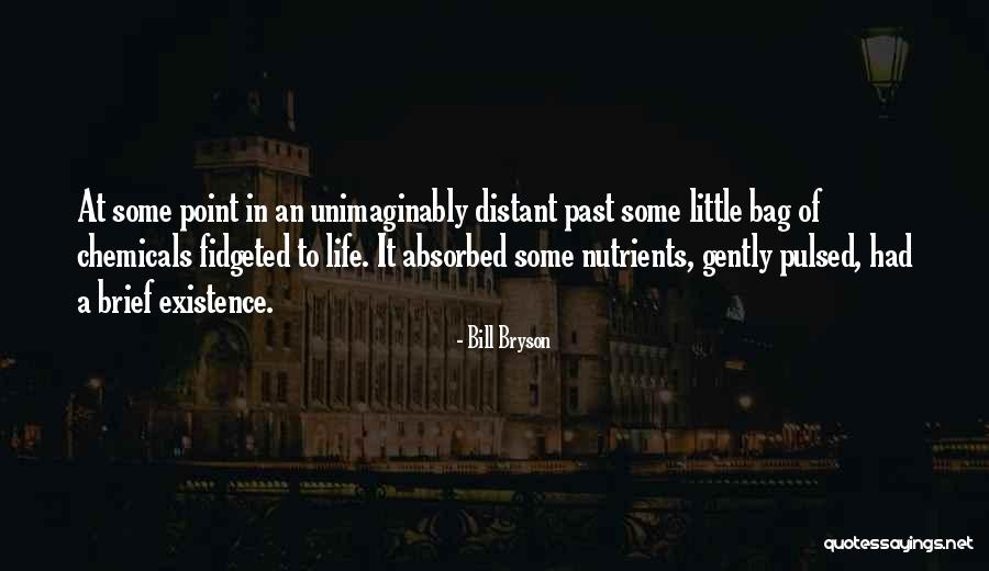 Brief Life Quotes By Bill Bryson Brief Life Quotes By Bill Bryson