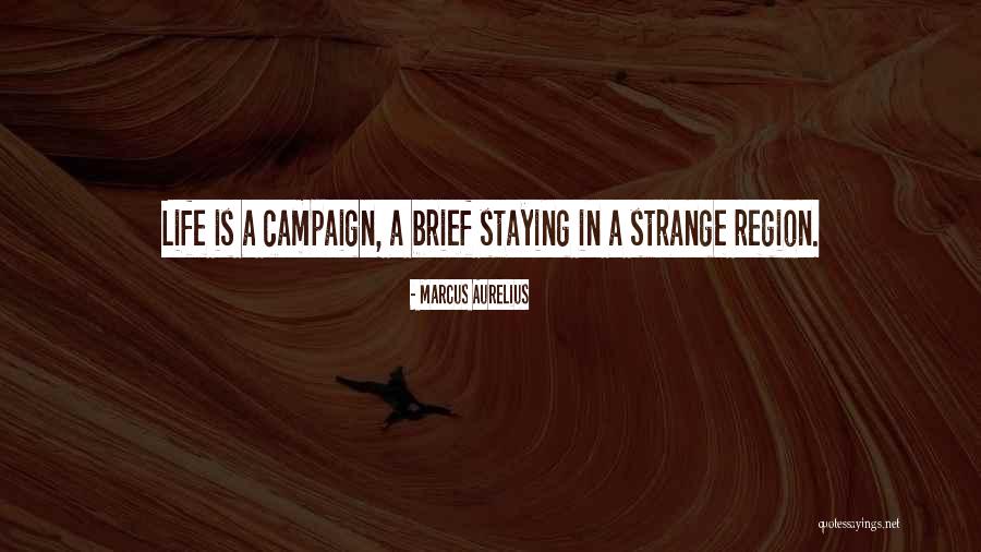 Brief Life Quotes By Marcus Aurelius Brief Life Quotes By Marcus Aurelius