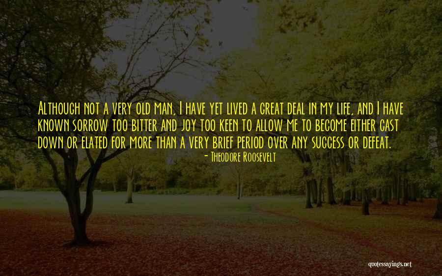 Brief Life Quotes By Theodore Roosevelt Brief Life Quotes By Theodore Roosevelt