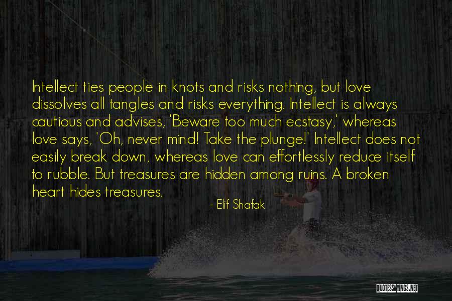 Briefcase In Invisible Man Quotes By Elif Shafak Briefcase In Invisible Man Quotes By Elif Shafak