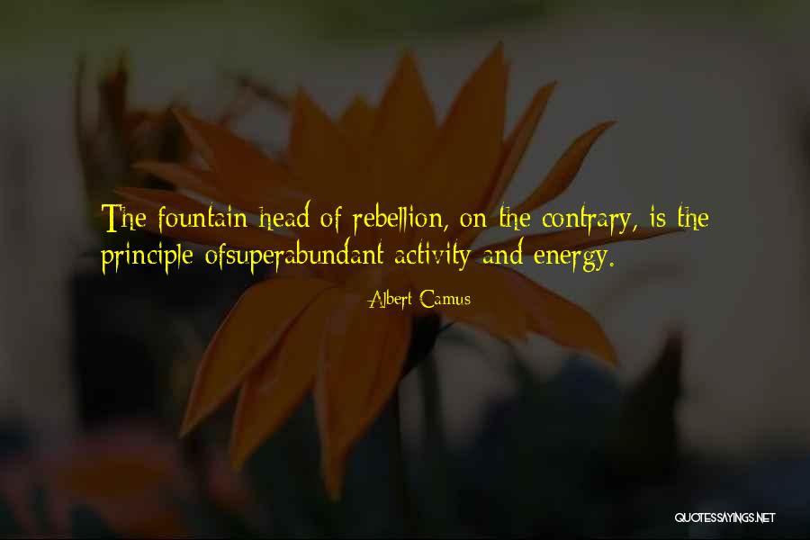 Briefness Synonym Quotes By Albert Camus Briefness Synonym Quotes By Albert Camus