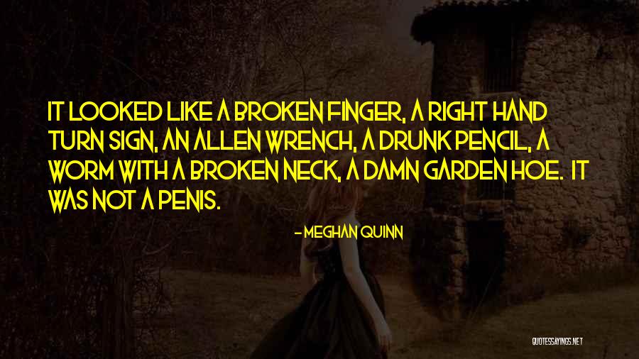 Brieno Elsa Quotes By Meghan Quinn Brieno Elsa Quotes By Meghan Quinn