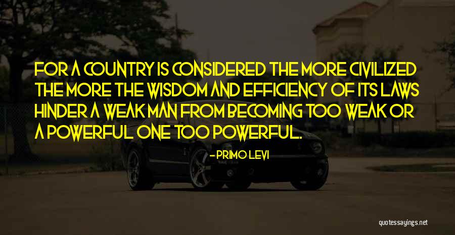 Briese Quotes By Primo Levi Briese Quotes By Primo Levi