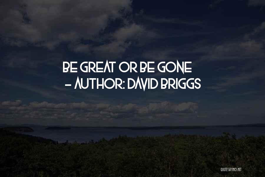 Briggs Quotes By David Briggs