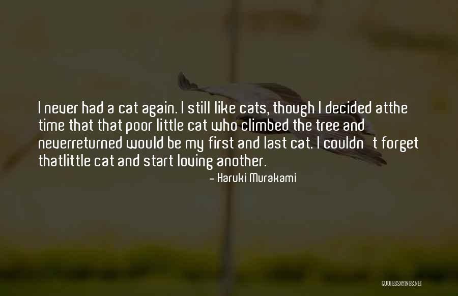 Briggsstrationparts Quotes By Haruki Murakami Briggsstrationparts Quotes By Haruki Murakami