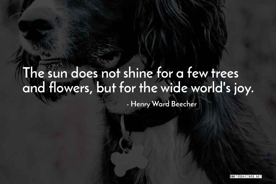 Briggsstrationparts Quotes By Henry Ward Beecher Briggsstrationparts Quotes By Henry Ward Beecher
