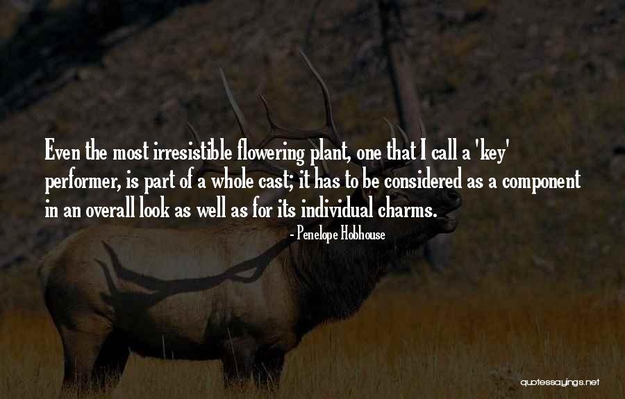 Brighella Quotes By Penelope Hobhouse Brighella Quotes By Penelope Hobhouse