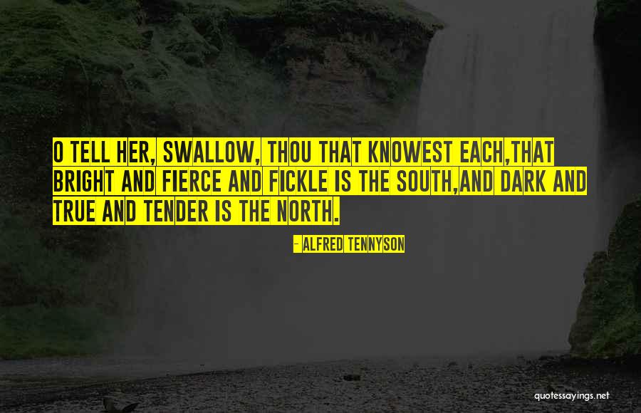 Bright And Dark Quotes By Alfred Tennyson Bright And Dark Quotes By Alfred Tennyson