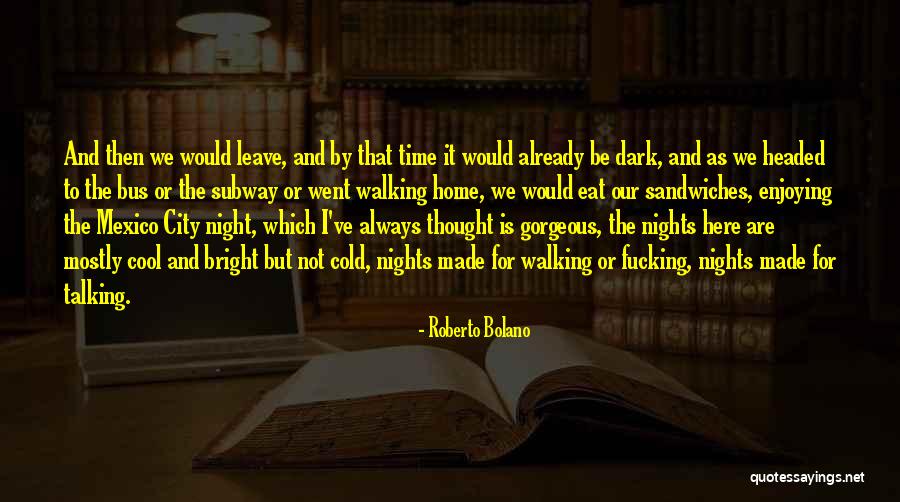 Bright And Dark Quotes By Roberto Bolano Bright And Dark Quotes By Roberto Bolano