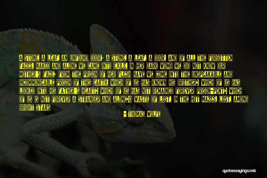 Bright And Dark Quotes By Thomas Wolfe Bright And Dark Quotes By Thomas Wolfe