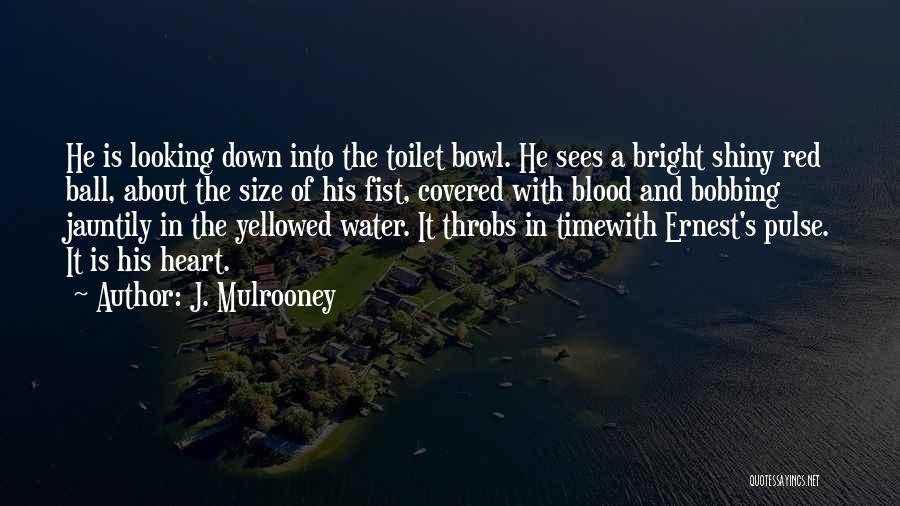 Bright And Shiny Quotes By J. Mulrooney