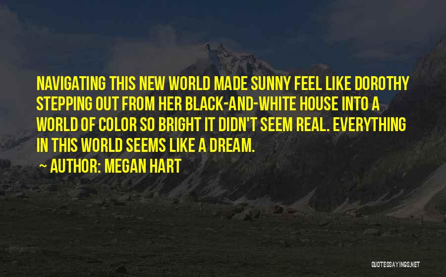 Bright And Sunny Quotes By Megan Hart
