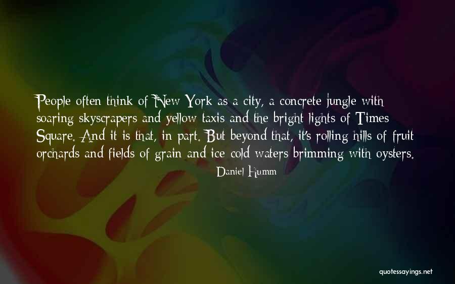 Bright City Lights Quotes By Daniel Humm Bright City Lights Quotes By Daniel Humm