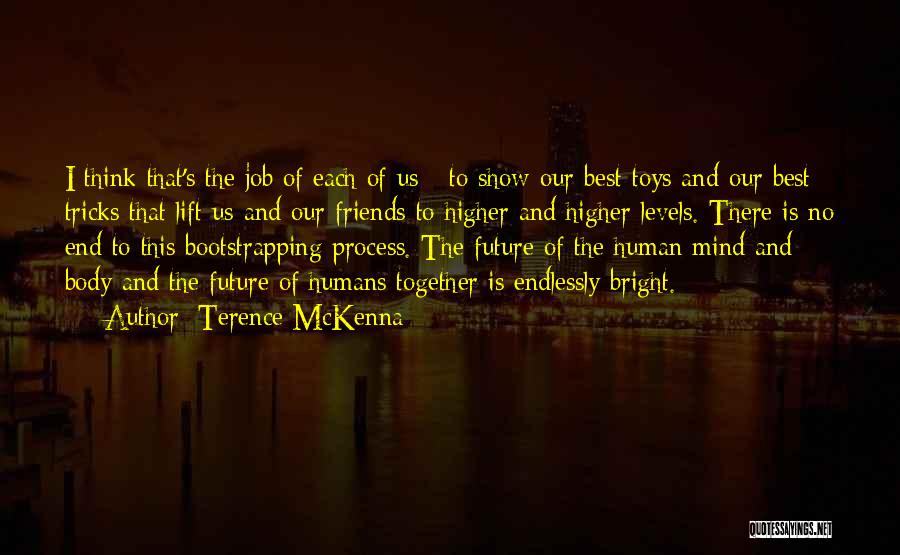 Bright Future Quotes By Terence McKenna