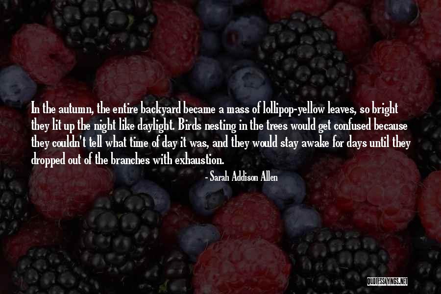 Bright Of Day Quotes By Sarah Addison Allen Bright Of Day Quotes By Sarah Addison Allen
